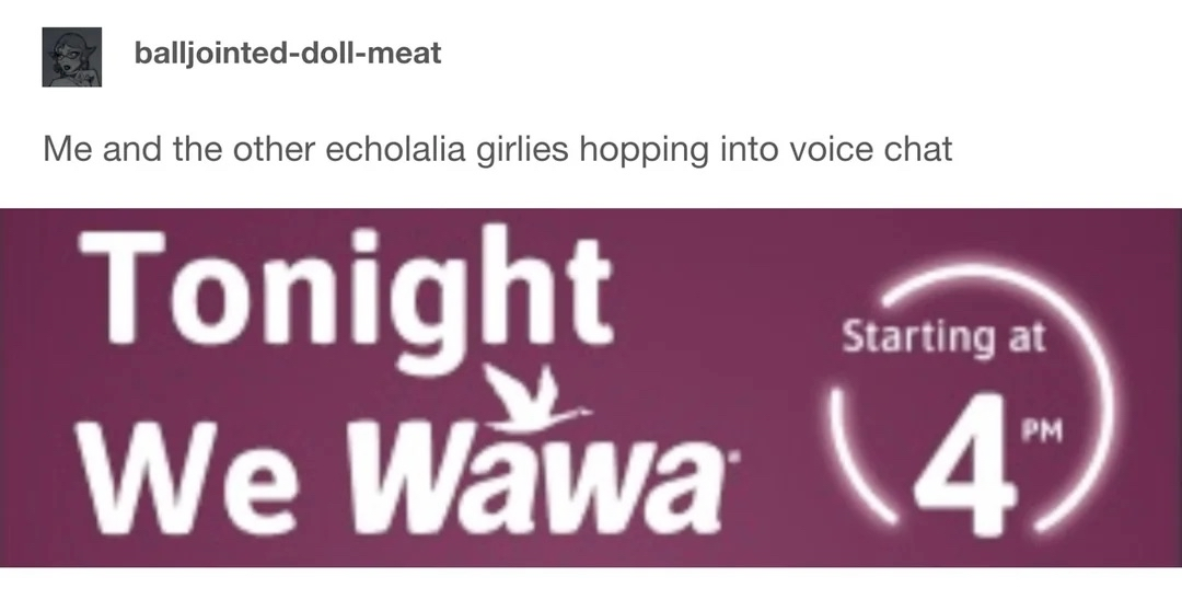 tumblr post by balljointed-doll-meat that says "me and the other echolalia girlies hopping into voice chat" with an image that looks like a news banner saying "Tonight We Wawa (starting at 4PM)"